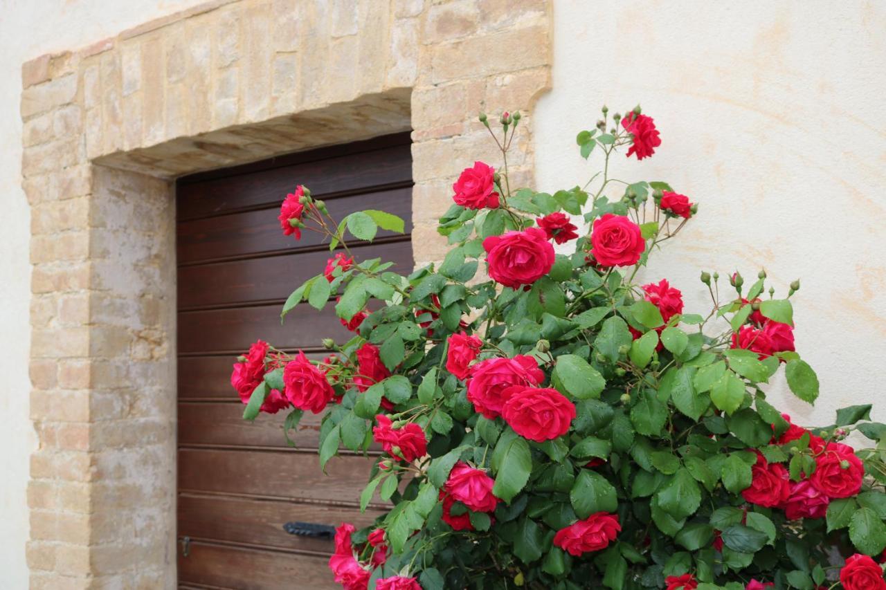 Bed & Breakfast Casa Lisetta Valtopina Exterior foto