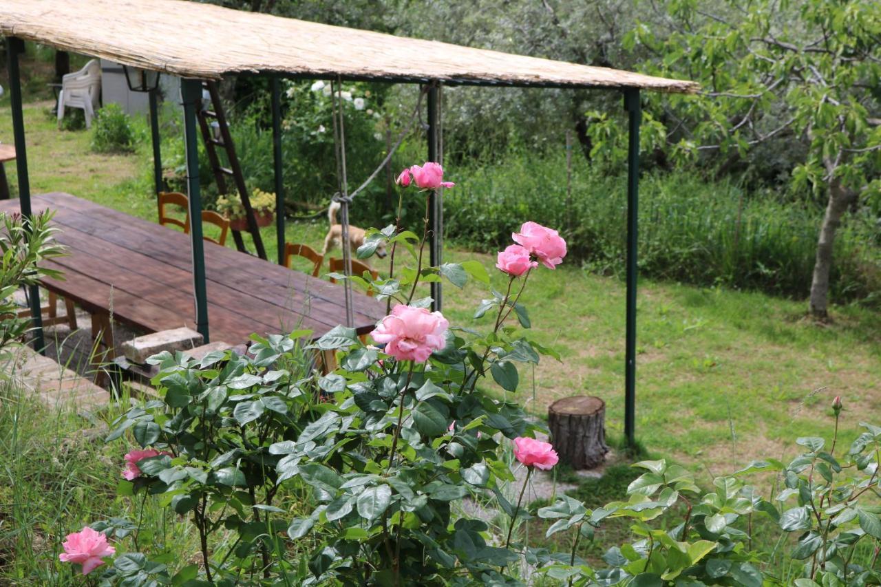 Bed & Breakfast Casa Lisetta Valtopina Exterior foto